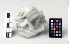 Foto von Calcit (NHMW-MIN-Ab338)